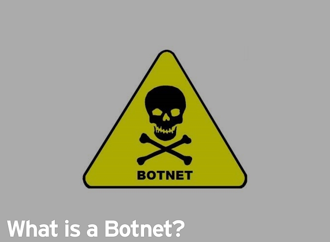 What is a Botnet?