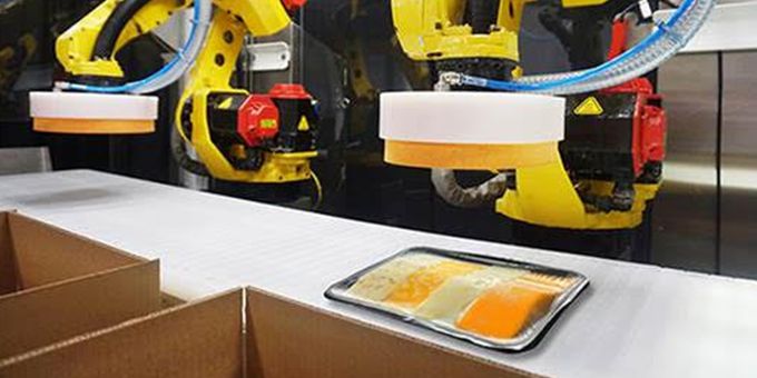 Robotic Washdown in Food-Handling Environments