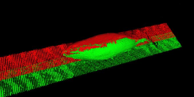 3D Vision System Nets the Right Tuna